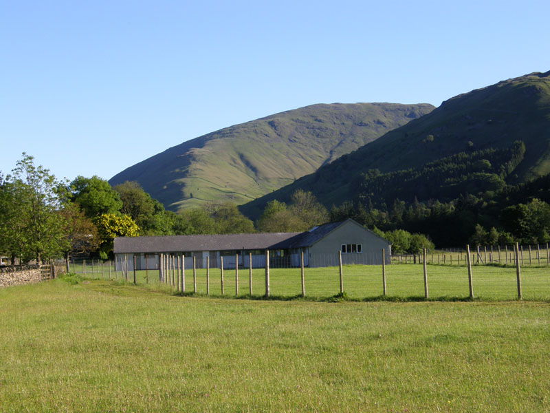 Seat Sandal